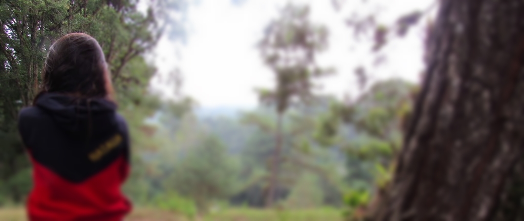 Colegio Loyola